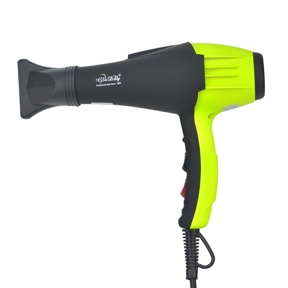 Electric Professional Hair Dryer