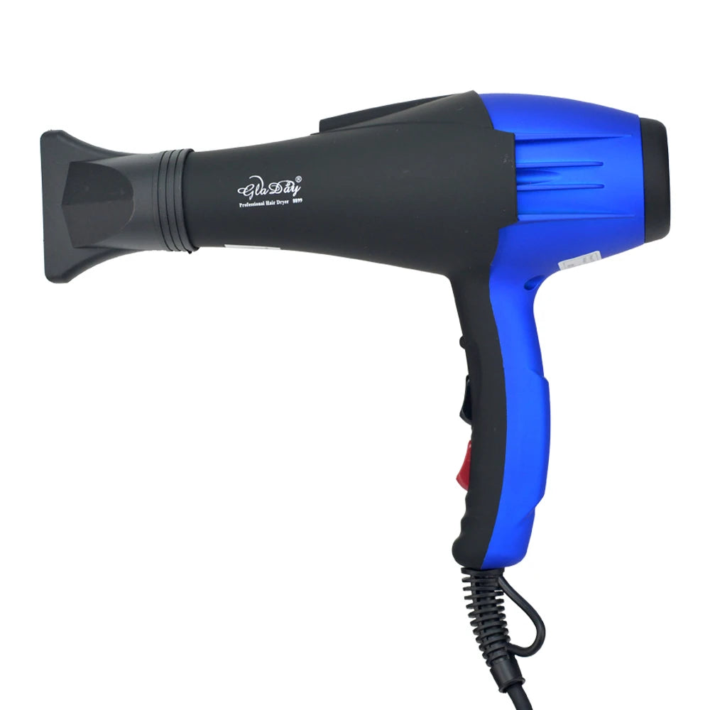 Electric Professional Hair Dryer