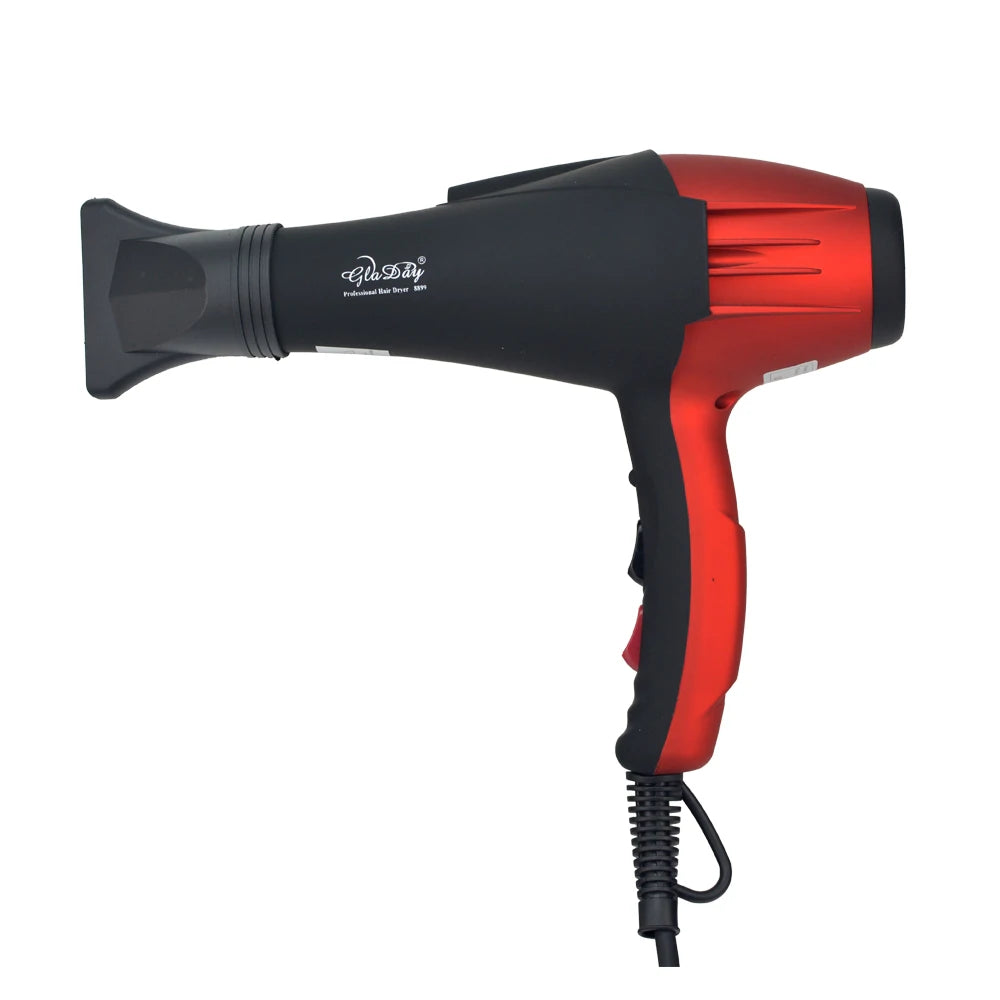 Electric Professional Hair Dryer